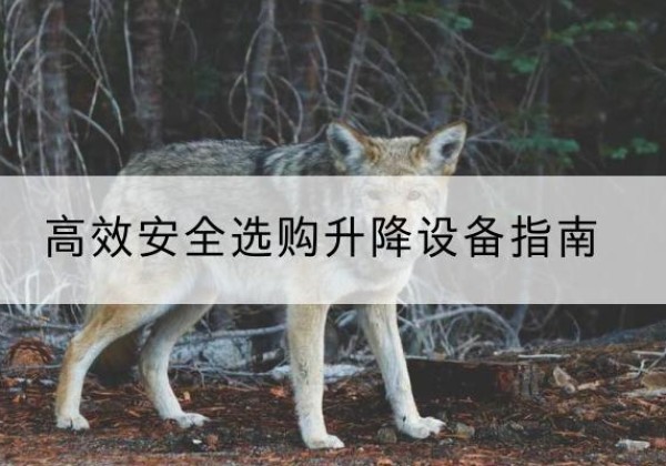 罗湖升降货梯厂家推荐-*安全选购升降设备指南