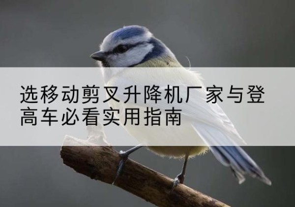 罗湖电动升降机厂家-选移动剪叉升降机厂家与登高车必看实用指南