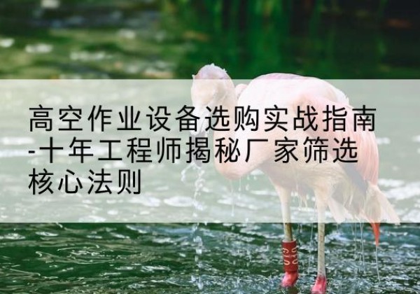 罗湖剪叉式升降机厂家-高空作业设备选购实战指南-十年工程师揭秘厂家筛选核心法则